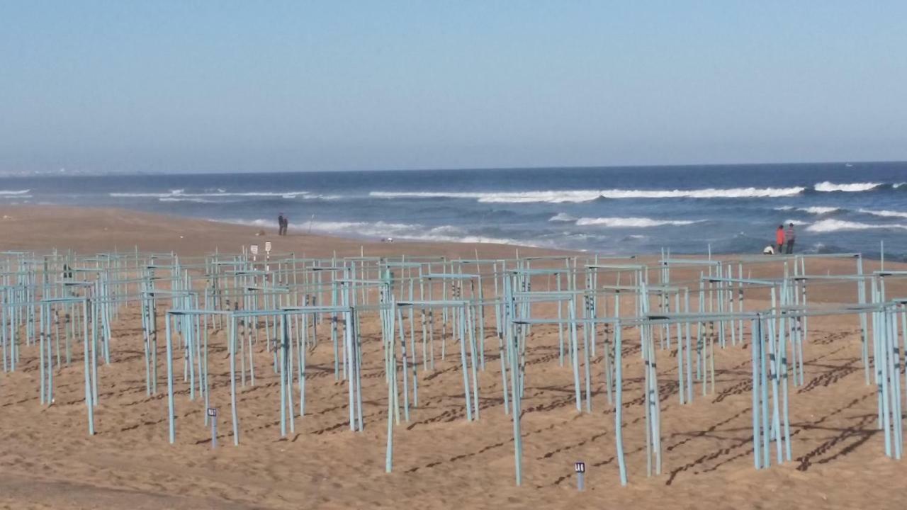 Pe Na Praia Da Foz فوز دو أريلهو المظهر الخارجي الصورة